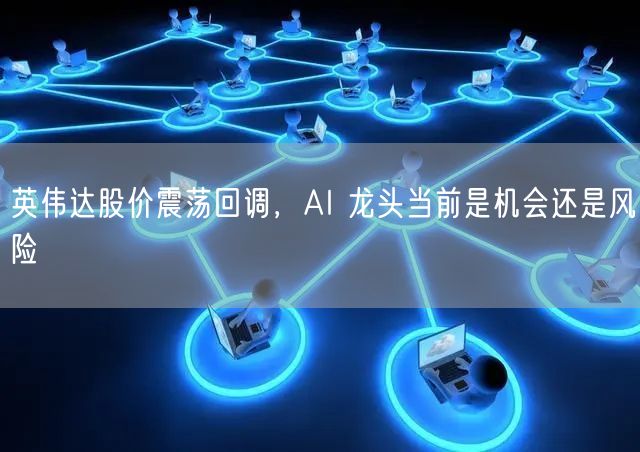 英伟达股价震荡回调，AI 龙头当前是机会还是风险