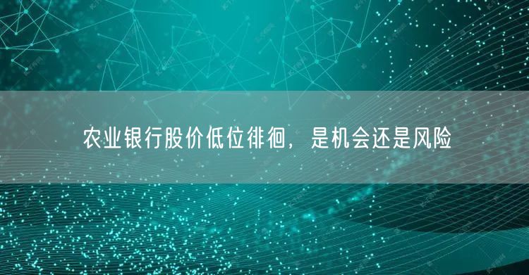 农业银行股价低位徘徊，是机会还是风险