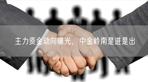 主力资金动向曝光，中金岭南是进是出