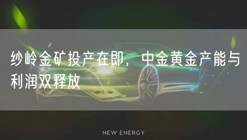 纱岭金矿投产在即，中金黄金产能与利润双释放