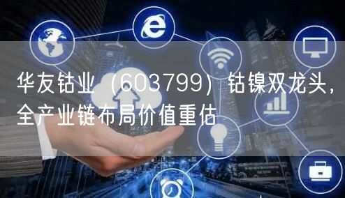华友钴业（603799）钴镍双龙头，全产业链布局价值重估