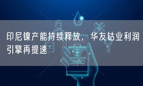 印尼镍产能持续释放，华友钴业利润引擎再提速