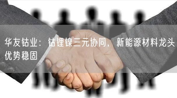 华友钴业：钴锂镍三元协同，新能源材料龙头优势稳固