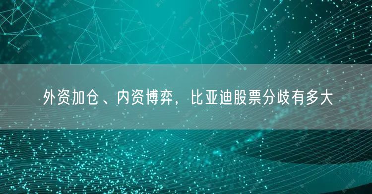 外资加仓、内资博弈，比亚迪股票分歧有多大