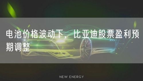 电池价格波动下，比亚迪股票盈利预期调整