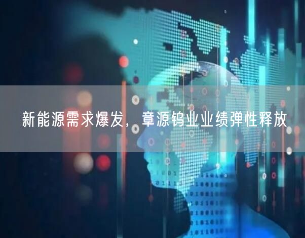 新能源需求爆发，章源钨业业绩弹性释放